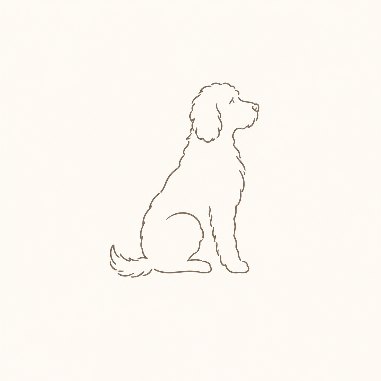 Cashmere Doodle