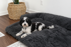 Dog lying on a fluffy dark gray pet bed in a home setting with a plant and wall outlet.